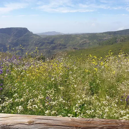 Casa Gerian 山林小屋 *